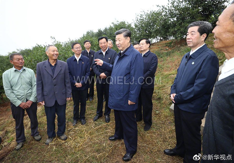 光山油茶籽榨油設(shè)備，山茶籽油榨油機廠家(圖3)